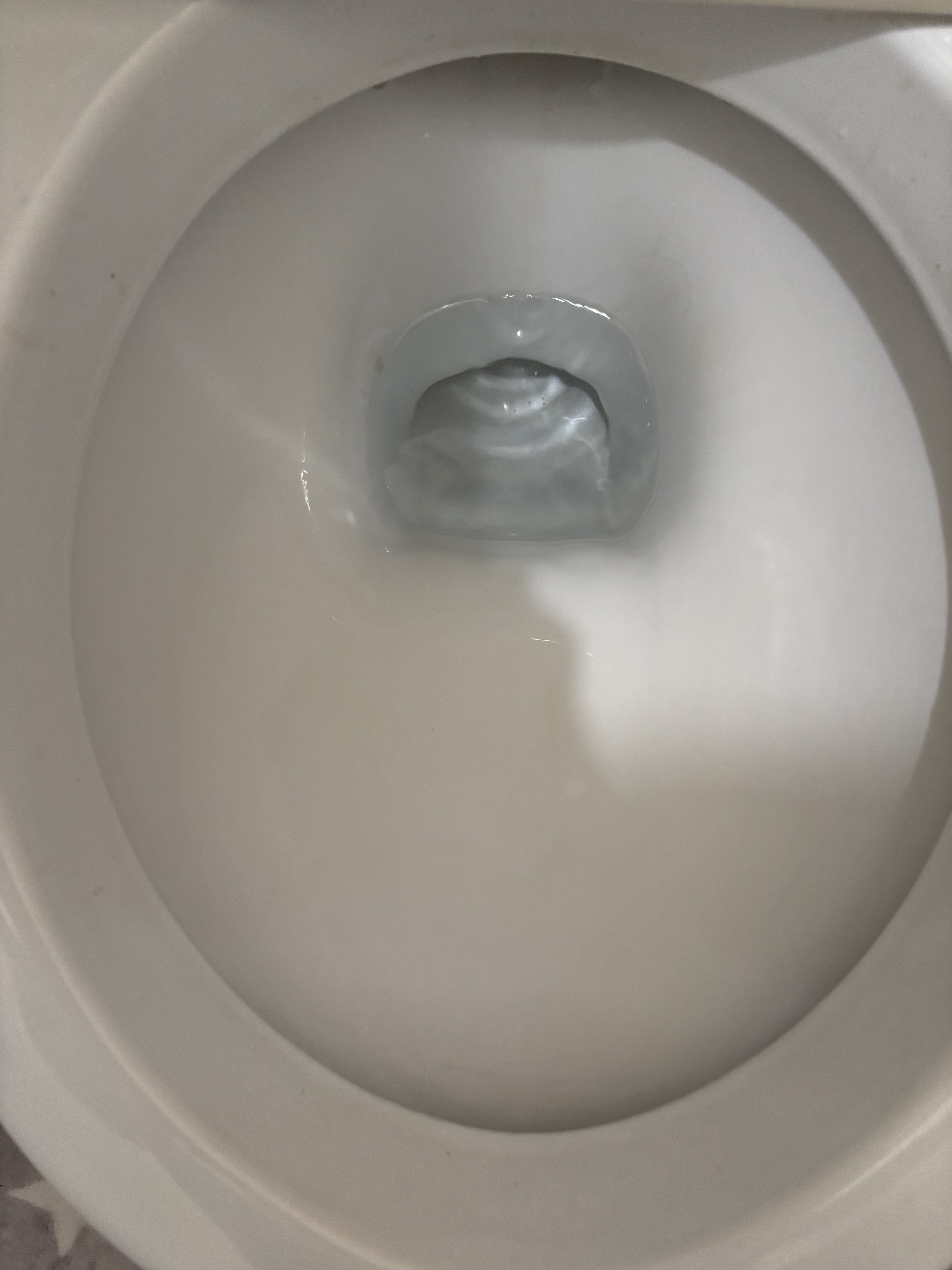 トイレハイター/花王/その他を使ったクチコミ（3枚目）