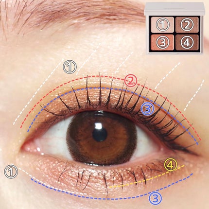 ニュアンスカラーアイズ/Enamor/アイシャドウパレットを使ったクチコミ(4枚目)