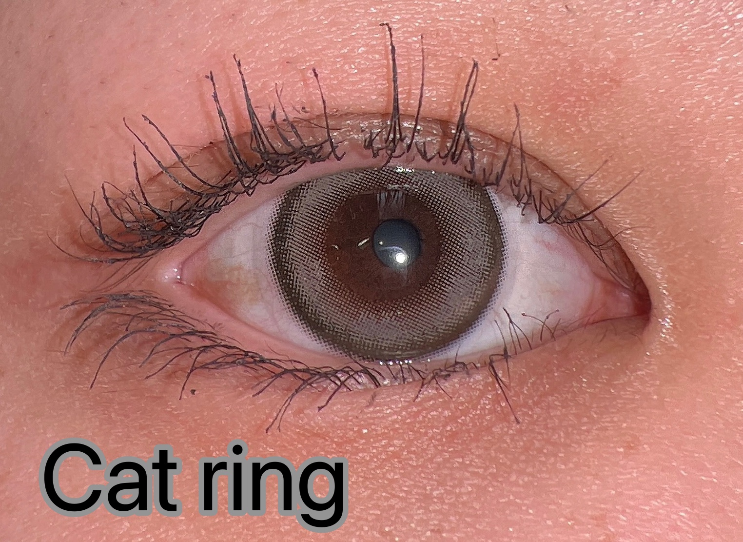 エバーカラーワンデー ナチュラル/エバーカラー/ワンデー（１DAY）カラコンを使ったクチコミ（3枚目）