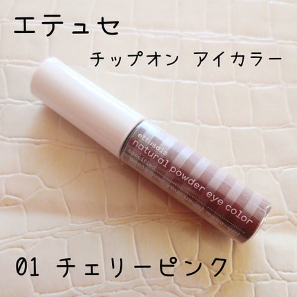 チップオン アイカラー/ettusais/リキッドアイシャドウを使ったクチコミ(1枚目)