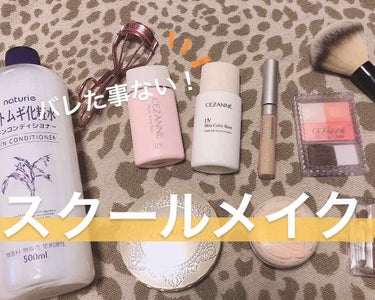 ハトムギ化粧水(ナチュリエ スキンコンディショナー R )/ナチュリエ/化粧水を使ったクチコミ（1枚目）