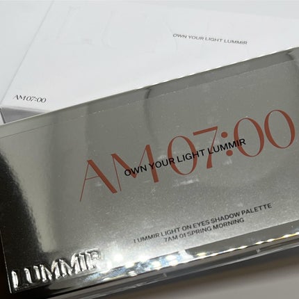 ライトオンアイズシャドウパレット/ルミル/アイシャドウパレットを使ったクチコミ(4枚目)