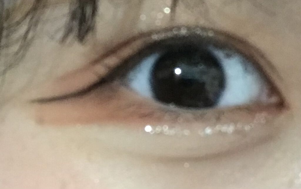 ベアシャドウパレット/フォレンコス/アイシャドウパレットを使ったクチコミ（1枚目）