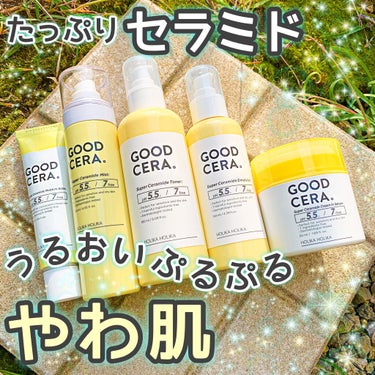 グッドセラ スーパーセラミド モイスチャー バーム /HOLIKA HOLIKA/リップケア・リップクリームを使ったクチコミ（1枚目）