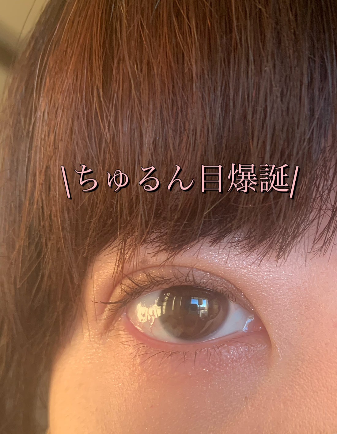 ジューシーピュアアイズ/キャンメイク/アイシャドウパレットを使ったクチコミ(1枚目)