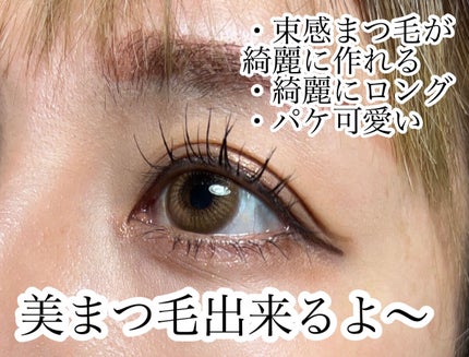 ホリカホリカ ラッシュコレクティングマスカラ/HOLIKA HOLIKA/マスカラを使ったクチコミ(3枚目)