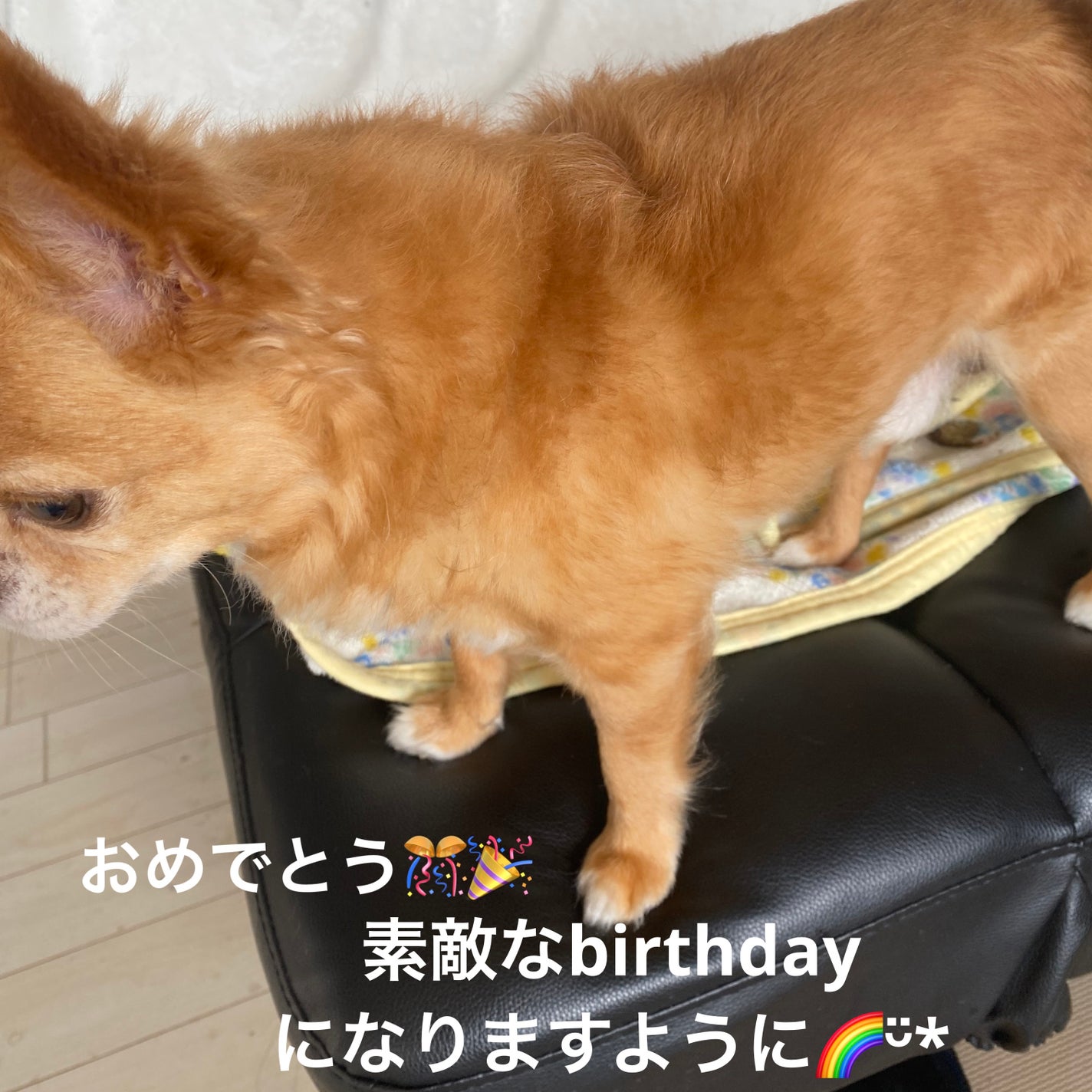 カラフルネイルズ/キャンメイク/マニキュアを使ったクチコミ(7枚目)