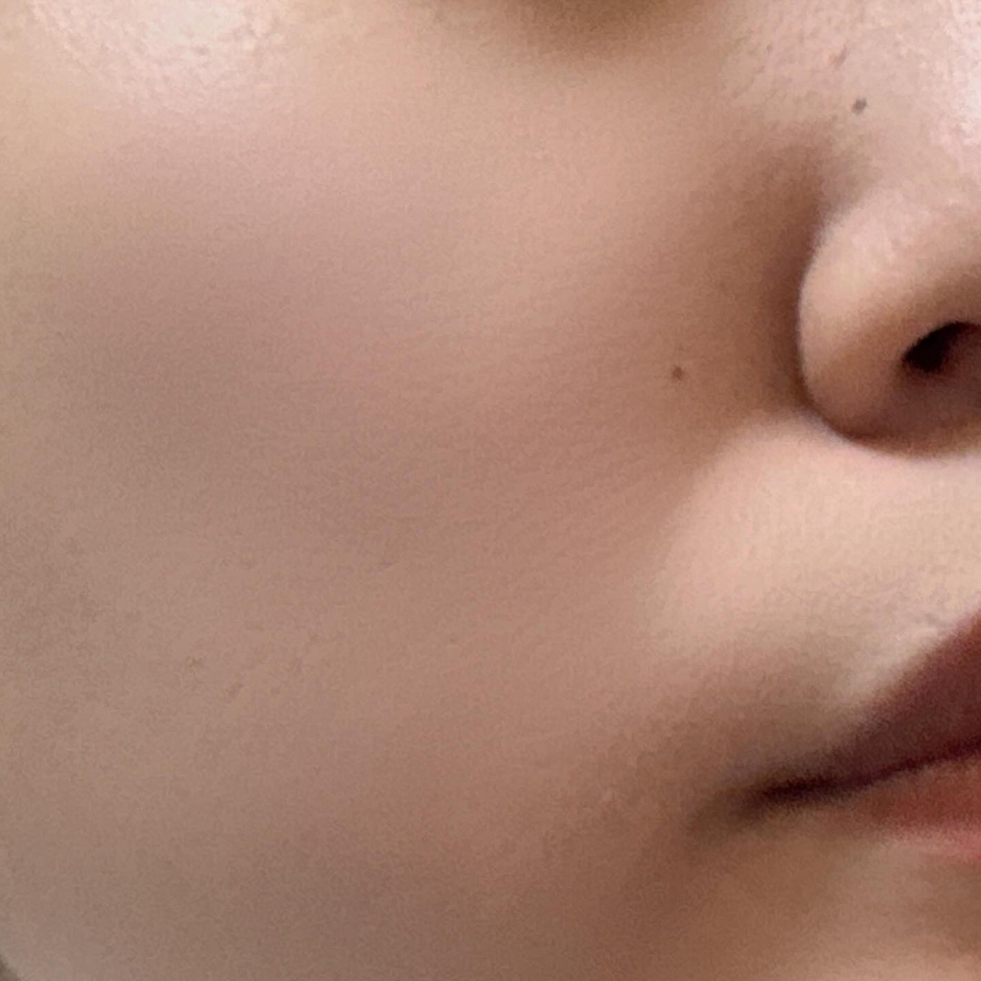 薬用 タイムケア パウダーファンデーション(しっとり)/HABA/パウダーファンデーションを使ったクチコミ(10枚目)