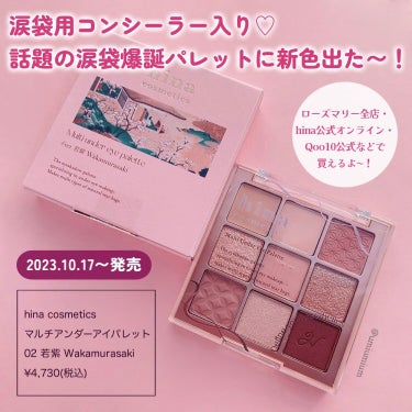 マルチアンダーアイパレット/hina cosmetics/アイシャドウパレットを使ったクチコミ（2枚目）