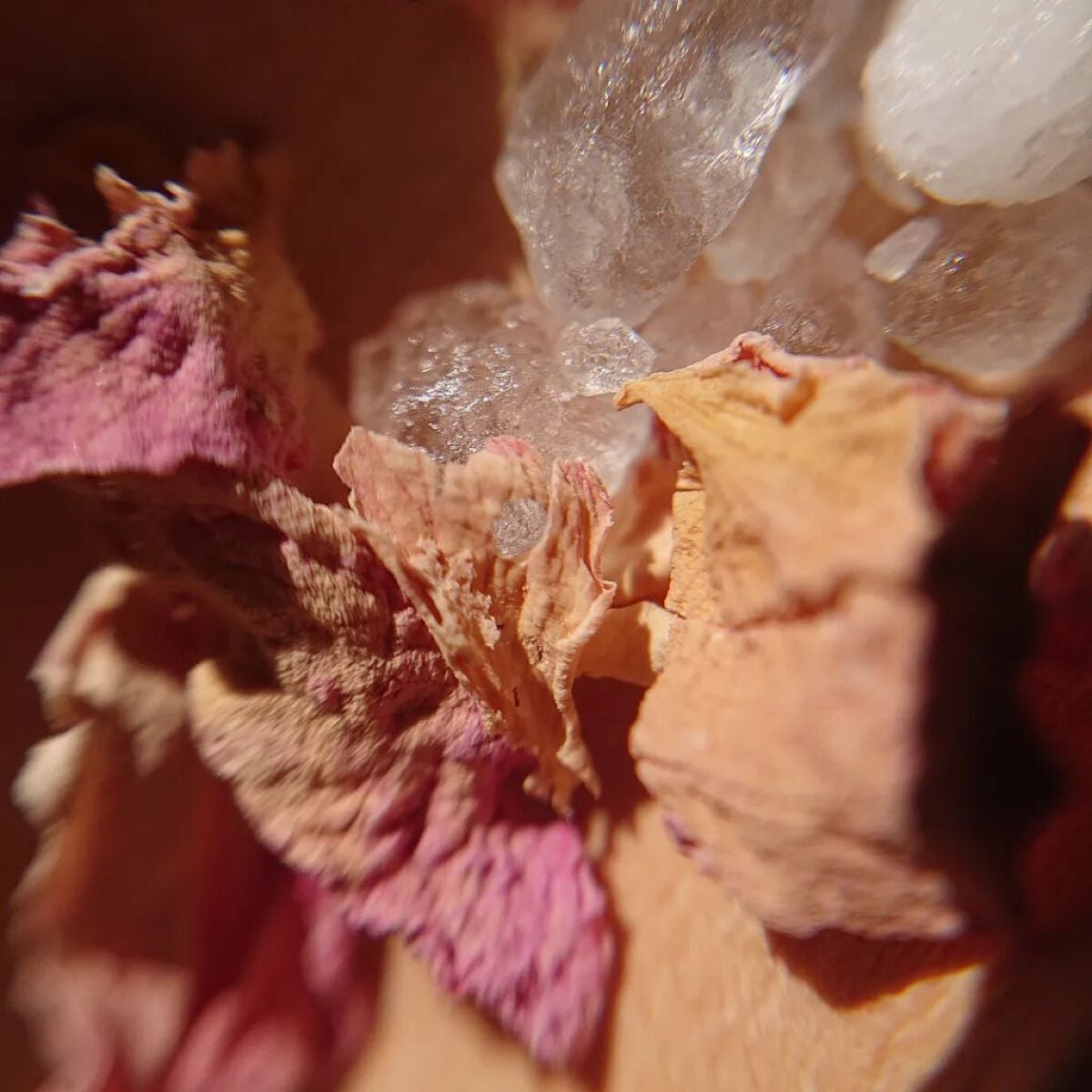 ローズスチーム/SABON/その他スキンケアを使ったクチコミ(5枚目)