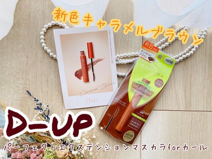 パーフェクトエクステンション マスカラ for カール/D-UP/マスカラを使ったクチコミ(1枚目)