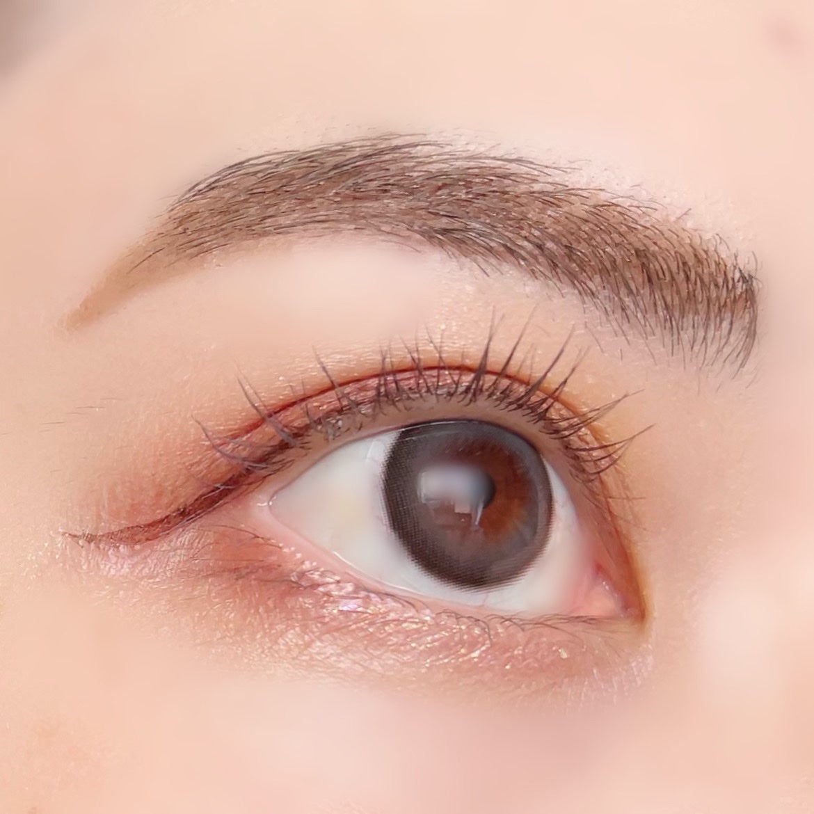 たまごぼーろちゃん on LIPS 「🌿🌿🌿☑︎24/7BomGray୨୧┈┈┈┈┈┈┈┈┈┈┈┈┈..」(5枚目)