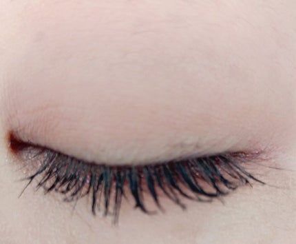 プレイカラーアイズ ダスティキャット/ETUDE/アイシャドウパレットを使ったクチコミ(6枚目)