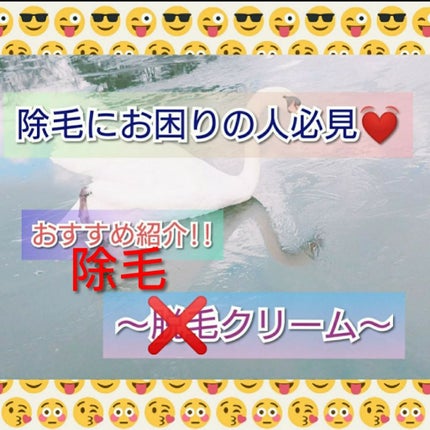 ハトムギ保湿ジェル(ナチュリエ スキンコンディショニングジェル)/ナチュリエ/美容液を使ったクチコミ(1枚目)