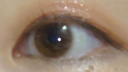 NARERU 1day 神無月キャメル/NARERU/ワンデー(1DAY)カラコンの画像