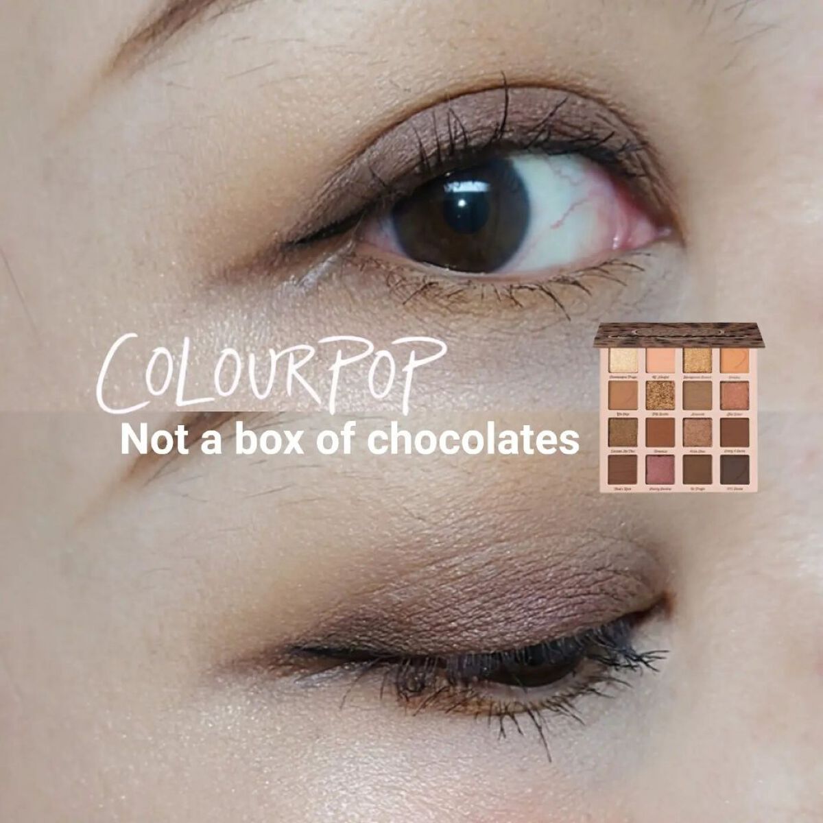 Not a box of chocolates/ColourPop/アイシャドウパレットを使ったクチコミ（1枚目）