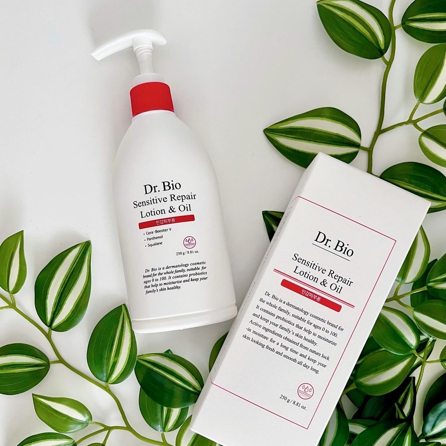 きぎ / フォロバします on LIPS 「🩷さくらんぼみたいな香りにホッとする🍒家族みんなで保湿ケア🩷_..」(5枚目)