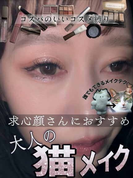 シャドウパレット/dasique/アイシャドウパレットを使ったクチコミ(1枚目)