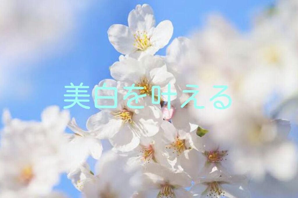 薬用ホワイトパックN/透明白肌/洗い流すパック・マスクを使ったクチコミ（1枚目）