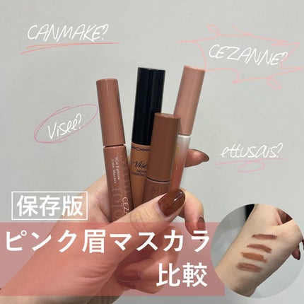 ヴィセ リシェ インスタント アイブロウ カラー/Visée/眉マスカラを使ったクチコミ(1枚目)