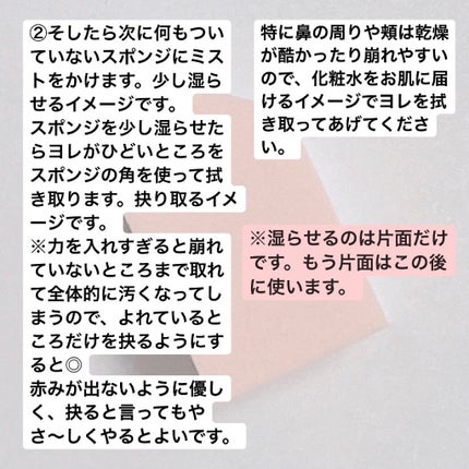 ザタイムリセット マイクロミスト/IPSA/ミスト状化粧水を使ったクチコミ(3枚目)