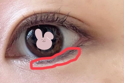 ラブ・ライナー リキッドアイライナーR3/ラブ・ライナー/リキッドアイライナーを使ったクチコミ(3枚目)