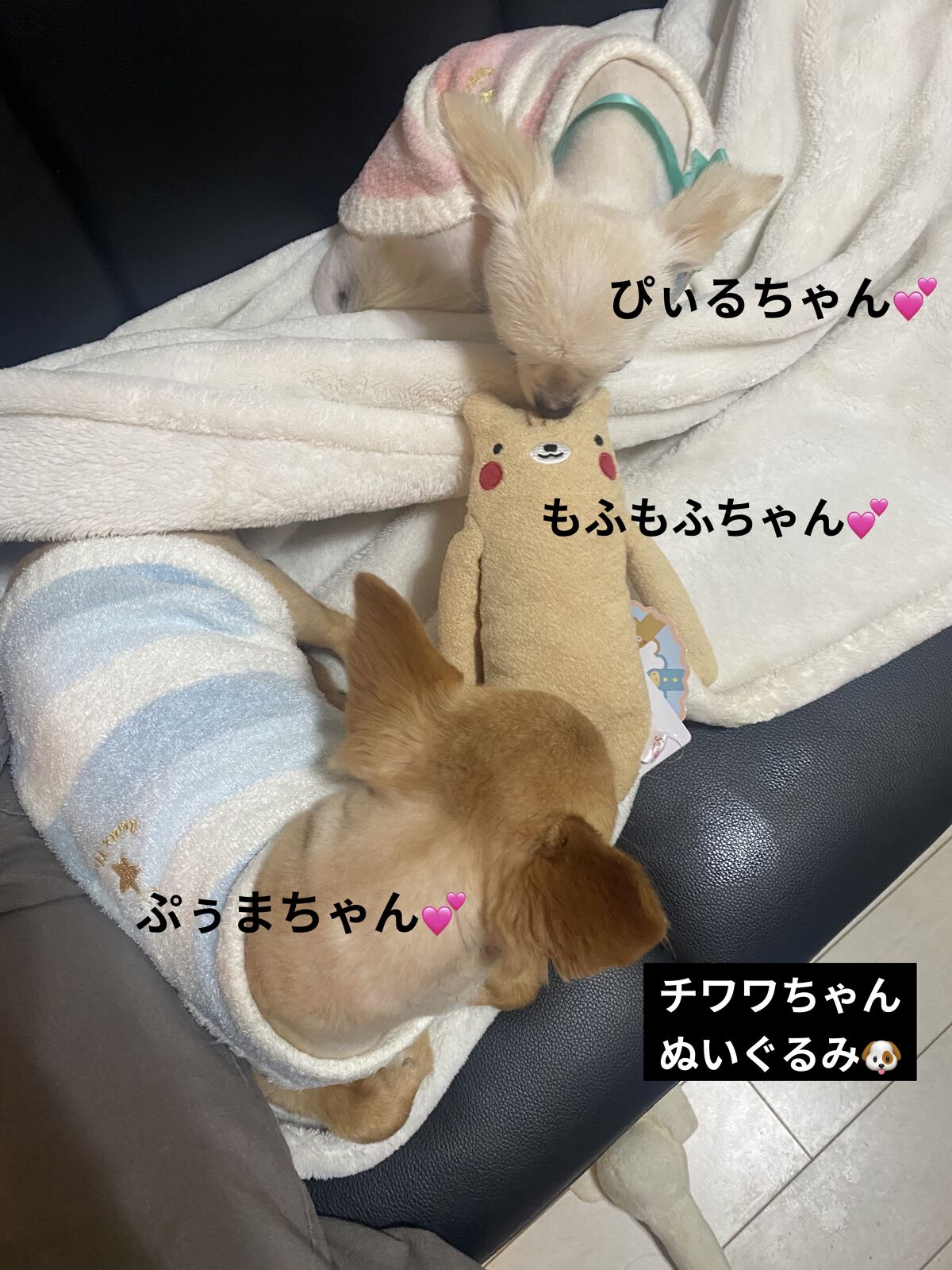 モフモフさん /シナダカンパニー /その他を使ったクチコミ（3枚目）