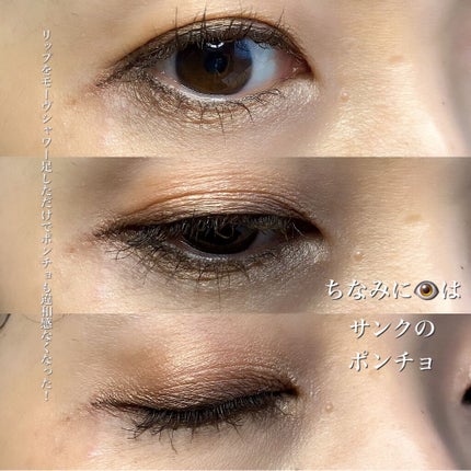 ケイト リップモンスター/KATE/口紅を使ったクチコミ(7枚目)