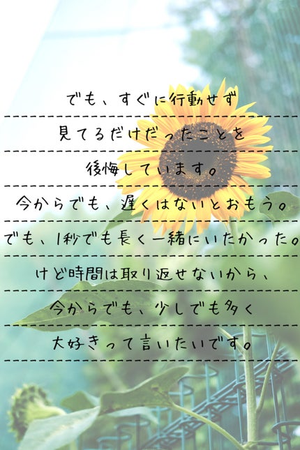 を使ったクチコミ(3枚目)