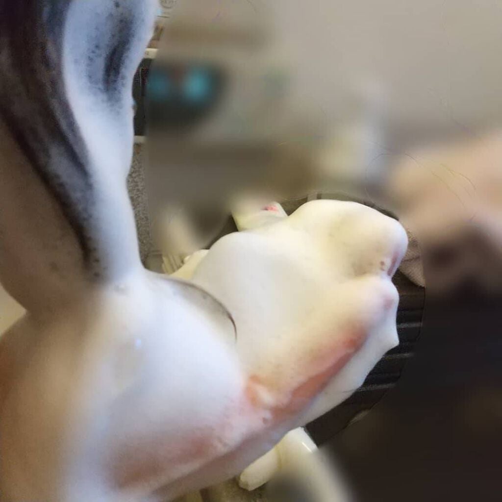 エクセランス R クリームタイプ /ロレアル パリ/ヘアカラーを使ったクチコミ(2枚目)