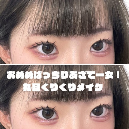 エクスプローラ12色 動物アイシャドウパレット/PERFECT DIARY/アイシャドウパレットを使ったクチコミ(1枚目)