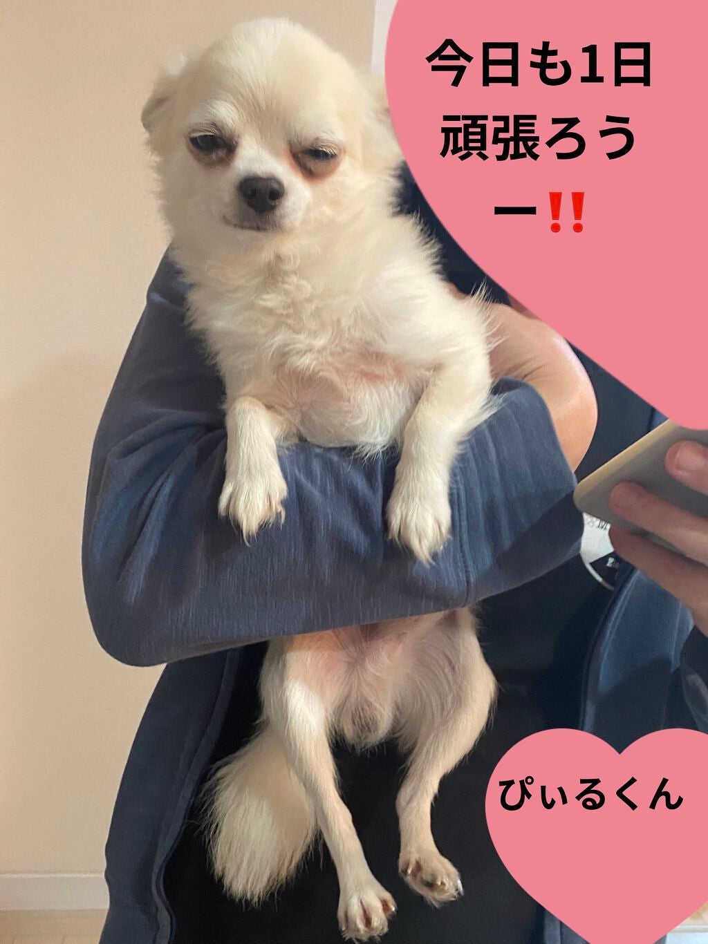 ポーラザハンドクリーム/POLA/ハンドクリームを使ったクチコミ(4枚目)