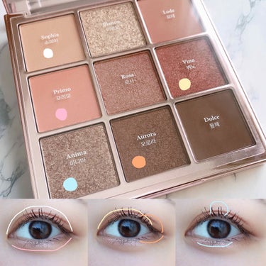 The Bella collection eyeshadow palette/CELEFIT/アイシャドウパレットを使ったクチコミ（2枚目）