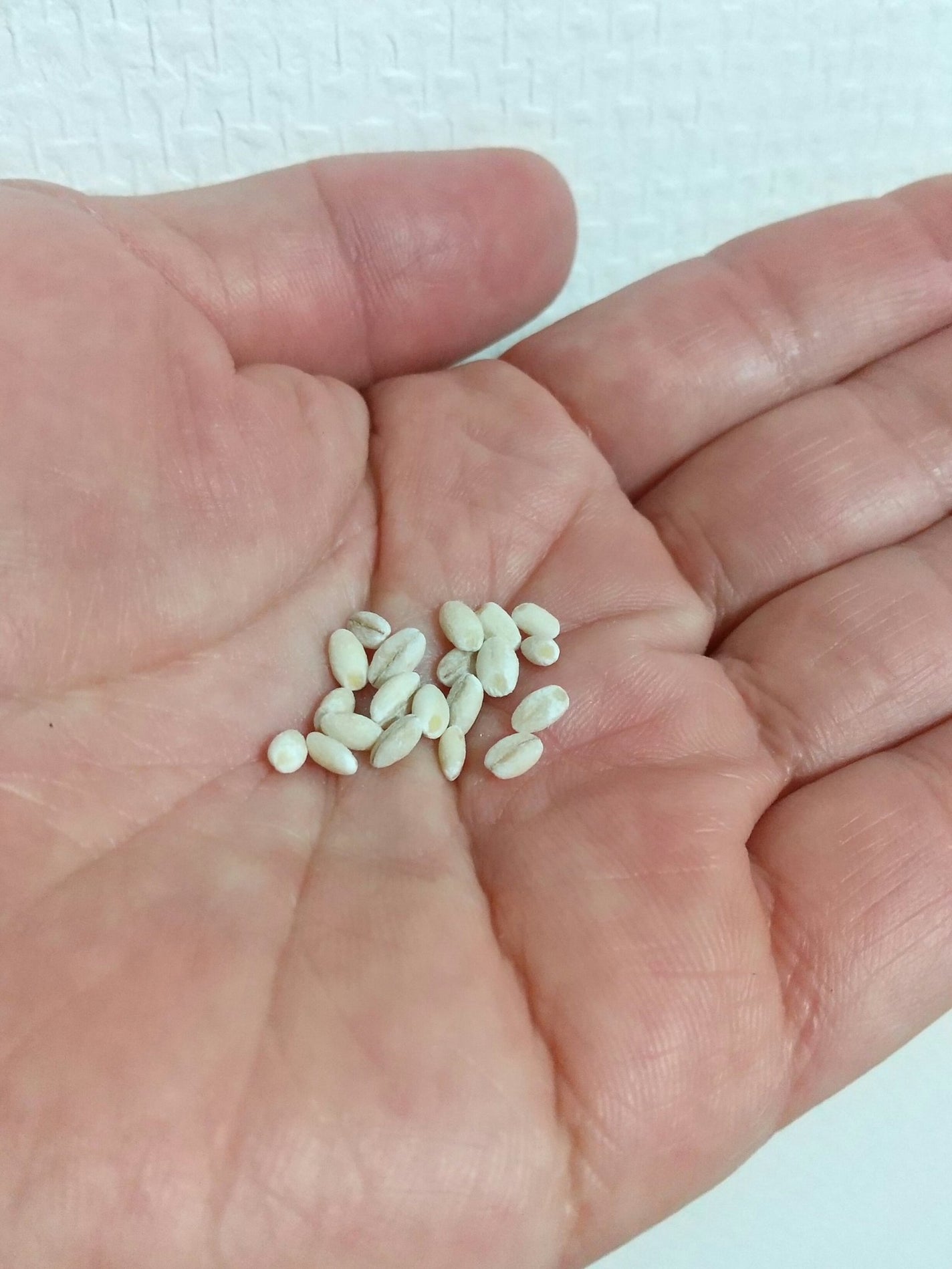 fantastic_gloss on LIPS 「前に投稿した、尋常性疣贅。つまりイボ。皮膚科の通院が終わりまし..」(3枚目)