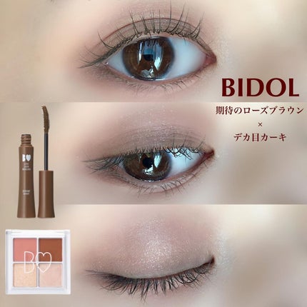 THE アイパレR/b idol/アイシャドウパレットを使ったクチコミ(1枚目)