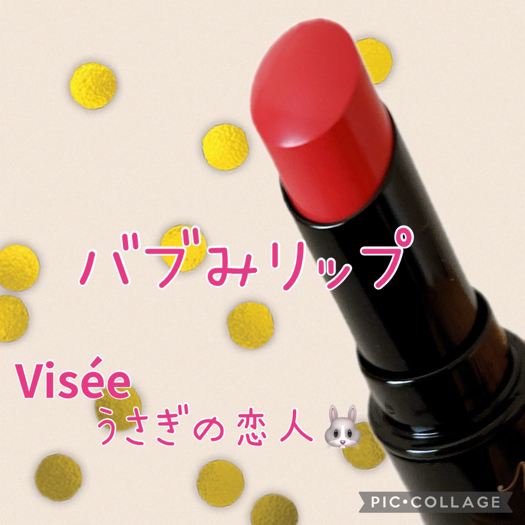 ネンマクフェイク ルージュ/Visée/口紅を使ったクチコミ（1枚目）