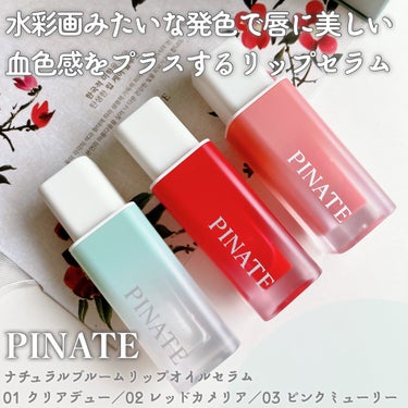 ナチュラルブルームリップオイルセラム 3色セット/PINATE/リップグロスを使ったクチコミ（2枚目）