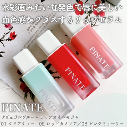 ナチュラルブルームリップオイルセラム 3色セット/PINATE/リップグロスを使ったクチコミ(2枚目)