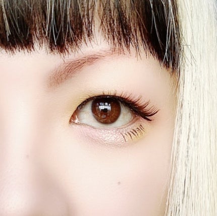 ZEESEA「ファンタジーパーク」12色アイシャドウパレット/ZEESEA/アイシャドウパレットを使ったクチコミ(6枚目)