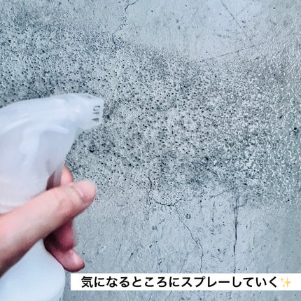 KOKOKIRA強力カビクリーナー/三宝ケミカル/その他を使ったクチコミ(2枚目)