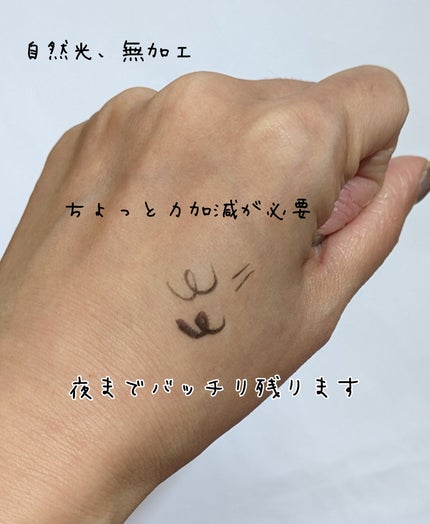 ラスティングリキッドライナー 01 ブラック/キャンメイク/リキッドアイライナーを使ったクチコミ(3枚目)