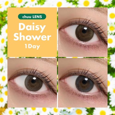 Daisy Shower/chuu LENS/ワンデー（１DAY）カラコンを使ったクチコミ（1枚目）