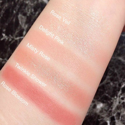 シャドウパレット/dasique/アイシャドウパレットを使ったクチコミ(2枚目)