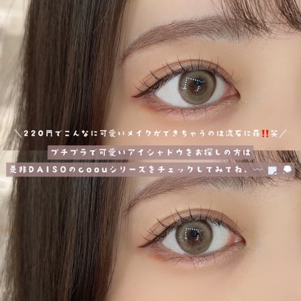 「塗るつけまつげ」ロングタイプ/デジャヴュ/マスカラを使ったクチコミ(6枚目)
