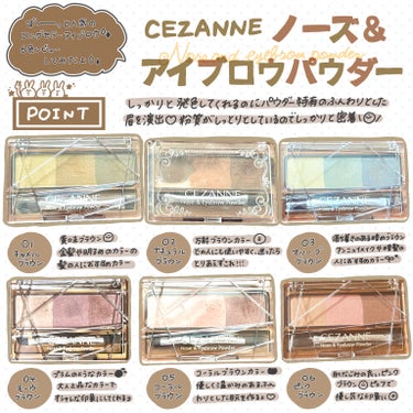 ノーズ＆アイブロウパウダー/CEZANNE/パウダーアイブロウを使ったクチコミ（1枚目）