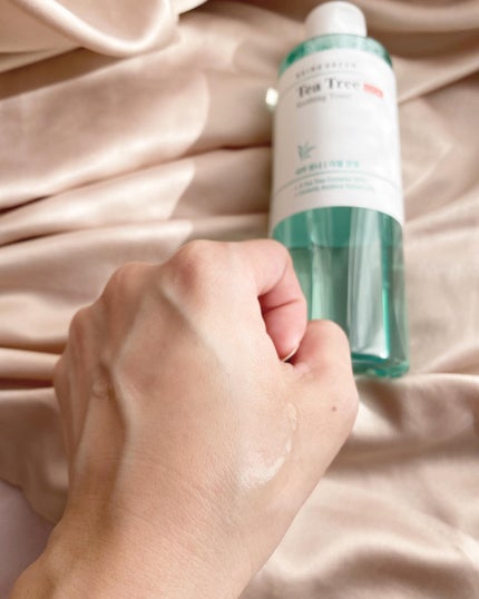 ティーツリーシカスージングトナー/BRING GREEN/化粧水を使ったクチコミ(4枚目)