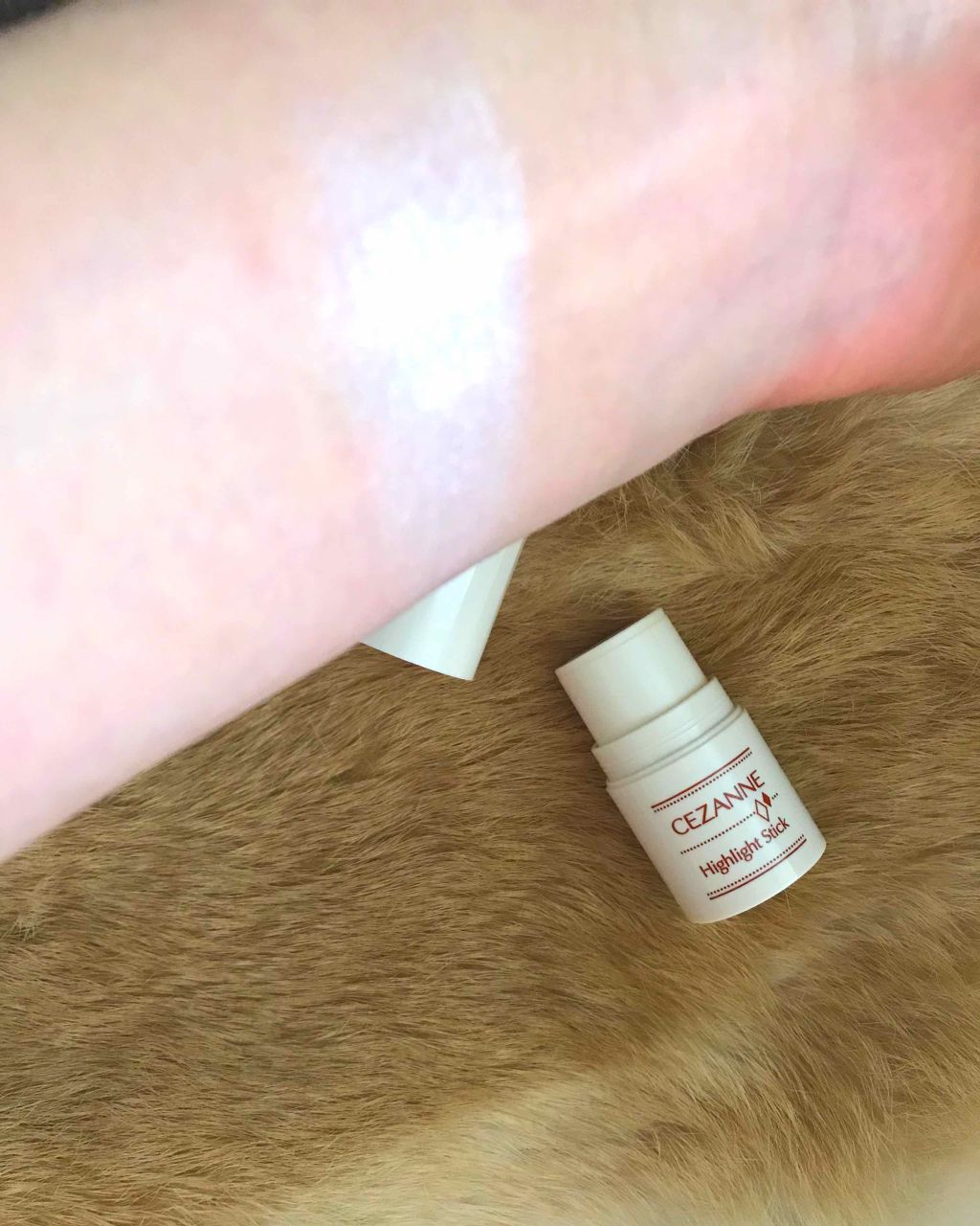 ハイライトスティック/CEZANNE/スティックハイライトを使ったクチコミ(1枚目)