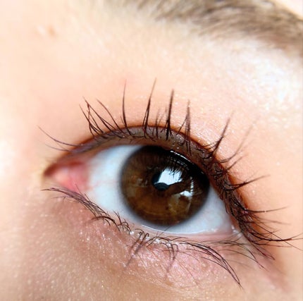 【旧】サンク クルール クチュール/Dior/アイシャドウパレットを使ったクチコミ(4枚目)