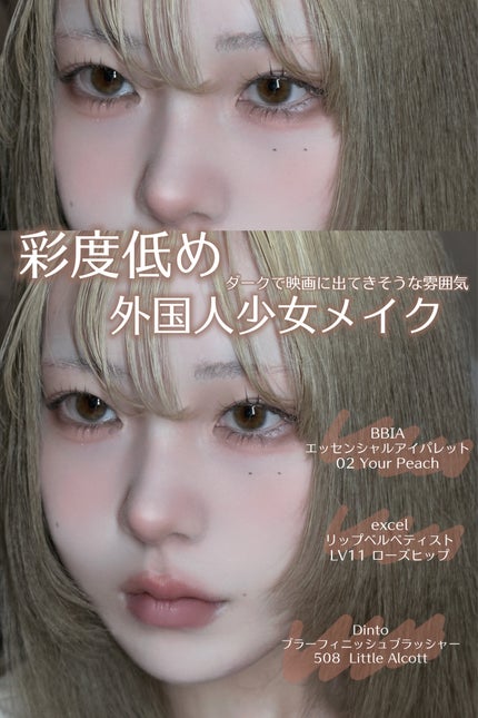 ブラーフィニシュブラッシャー/Dinto/パウダーチークを使ったクチコミ(1枚目)