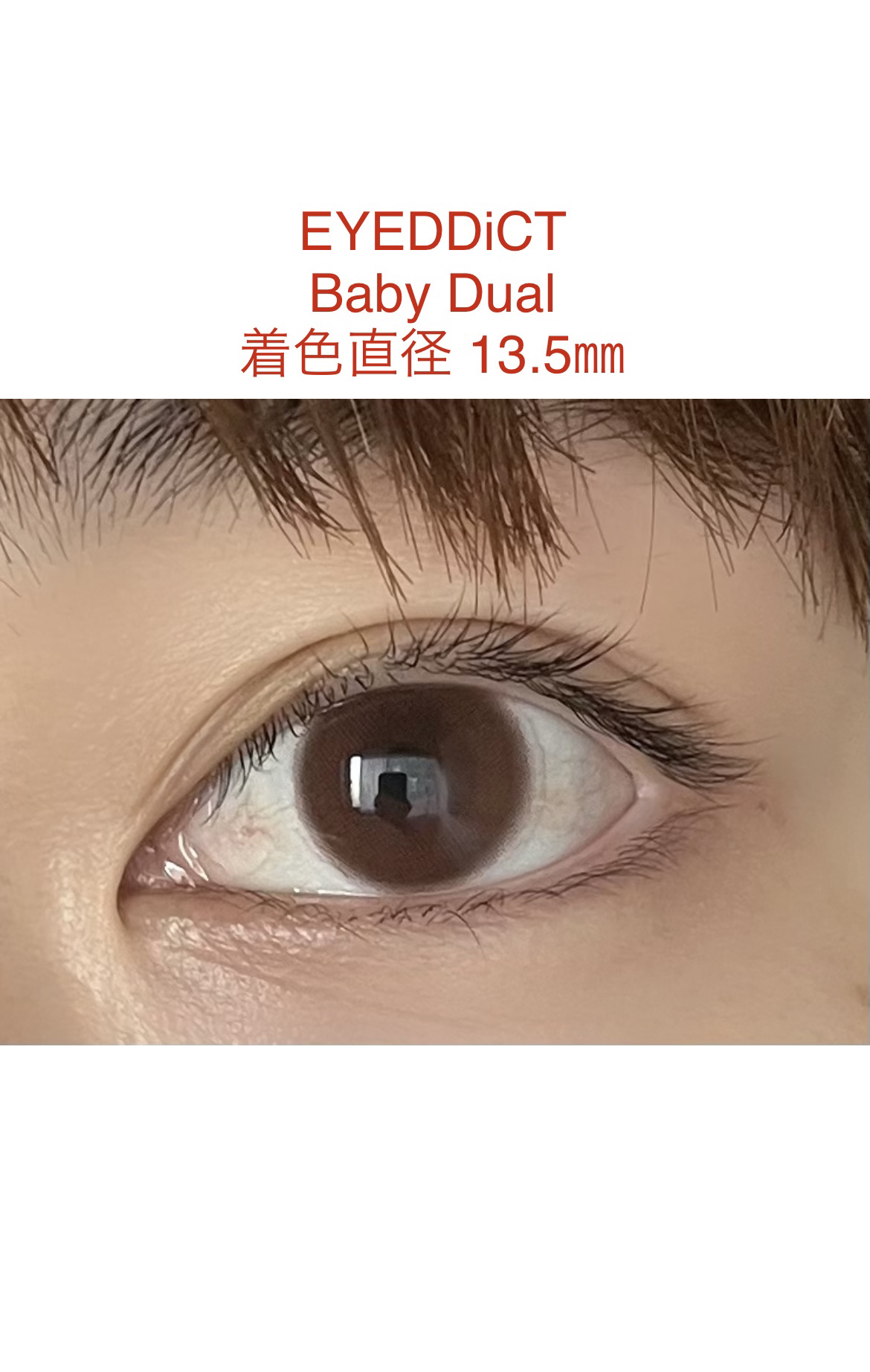 アイディクト byフェアリー/FAIRY/カラーコンタクトレンズを使ったクチコミ（1枚目）